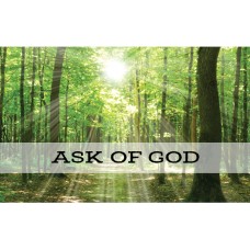 CH - Recommend Holder - Ask of God Youth - 2017 Youth Theme! <BR>神殿推薦状ケース　「願い求めなさい」 森【日本在庫商品】