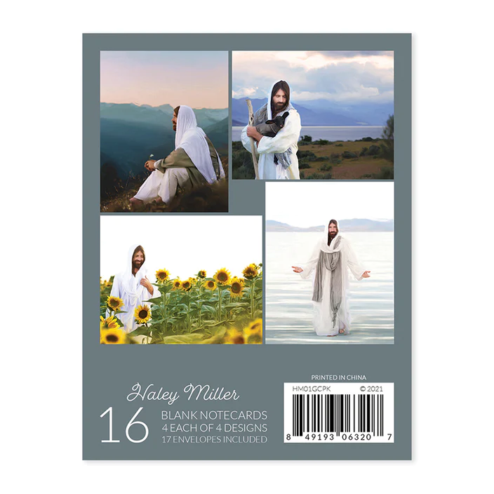 AF - Card Pack - Haley Miller Note Card Pack<BR>Haley Miller画　カードパック【残り１点】