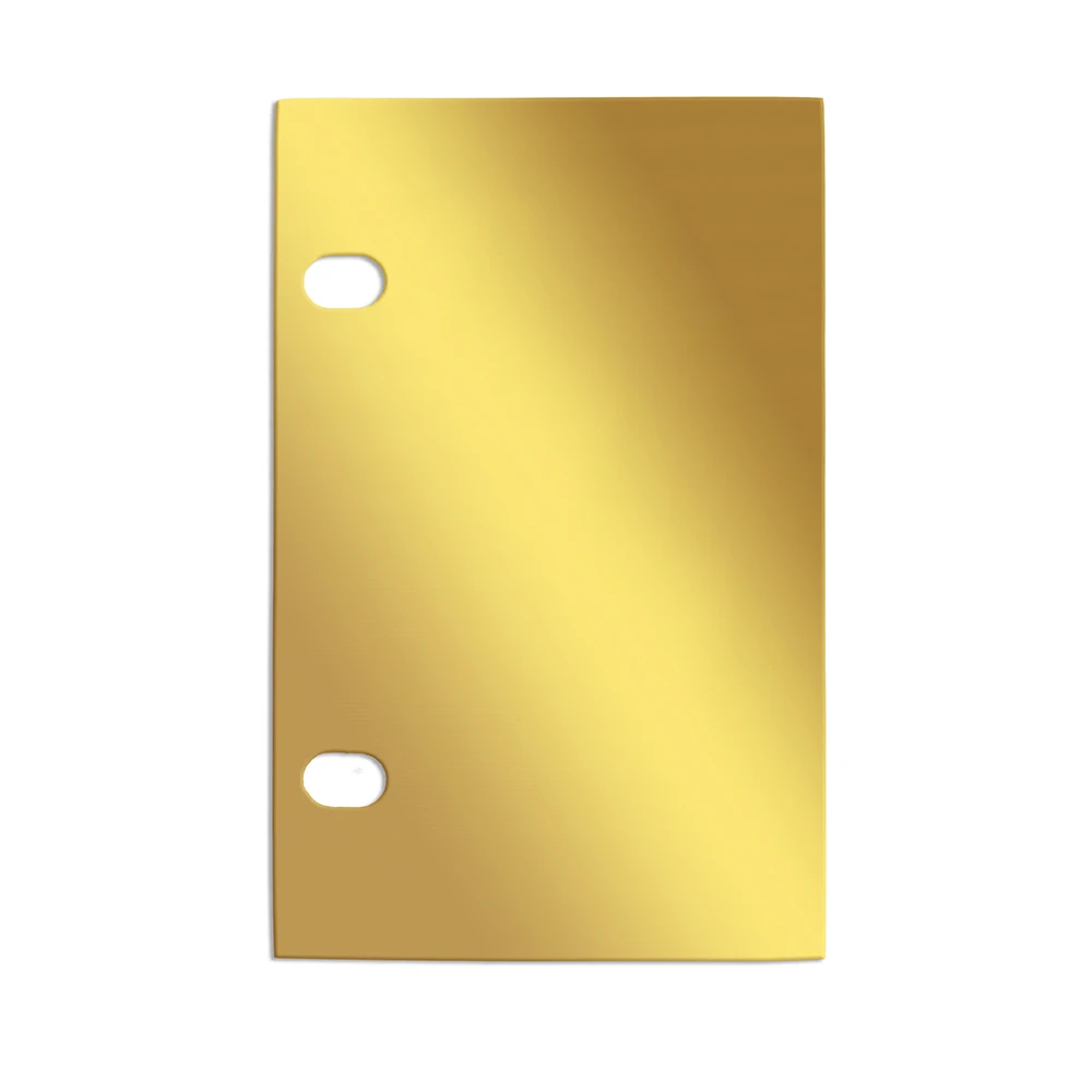 RM - Golden Plates - Golden Challenge Plates Display Blank Plate<BR/>ɽ󥸶 ֥󥯥ץ졼